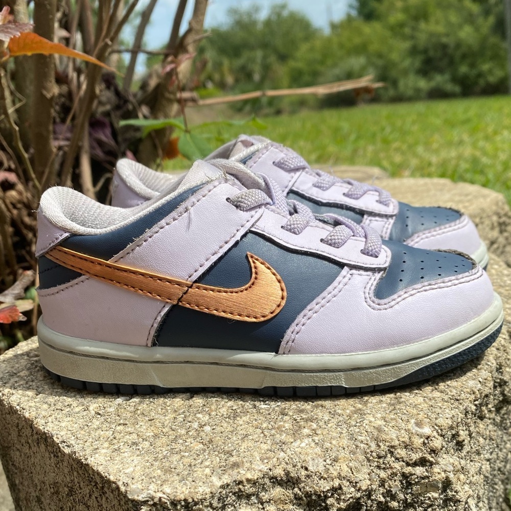 Nike Dunk Low SE TD 'Copper Swoosh' Blue Purple Size 9c